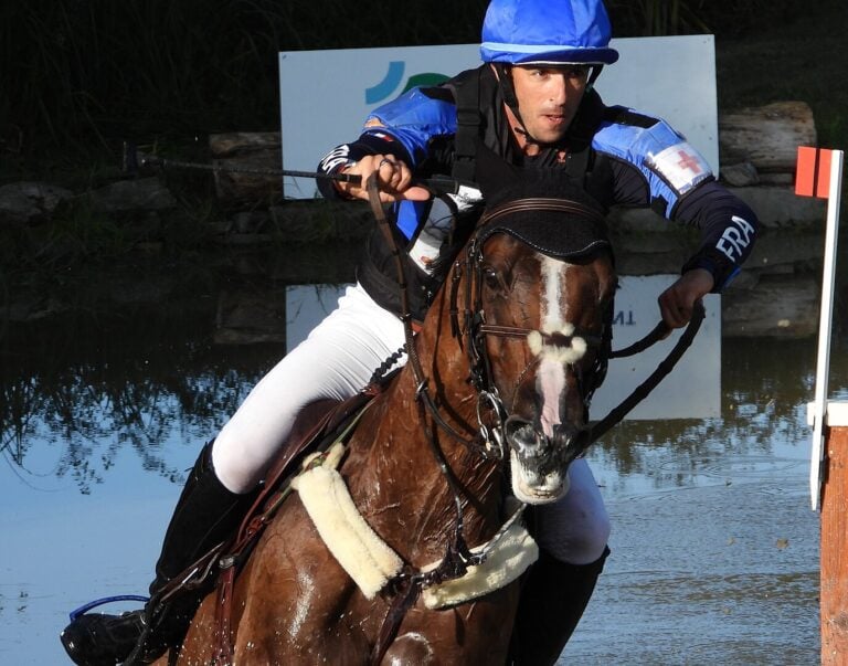 Castellano sidelined after Saratoga Wild Applause spill