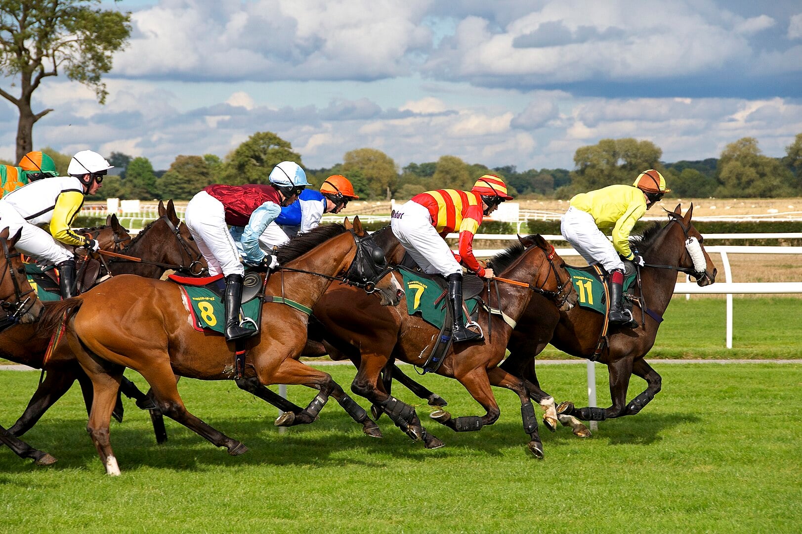 1623px HDR Style Horse Racing Photo 8054841494