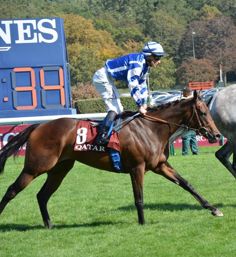 Thoroughbred Horse Racing Stakes Schedule