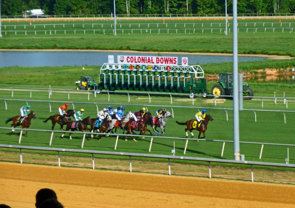 Colonial Downs Pick Pony Daily Tip Sheet News Races Analysis