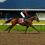 Data from HISA reveal a notable rise in race-related equine fatalities during the second quarter of 2025 compared to the same period in the previous year.