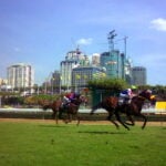 Horse racing tracks around the world rated by category/quality.