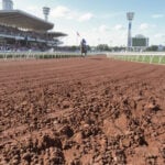 A guide to horse race track surfaces