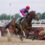 Thoroughbred racing jockey