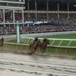 The first turn of the 2007 Breeder's Cup Classic powered by Dodge, at Monmouth Park New Jersey
