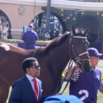 Thorpedo Anna before the Breeders Cup Distaff