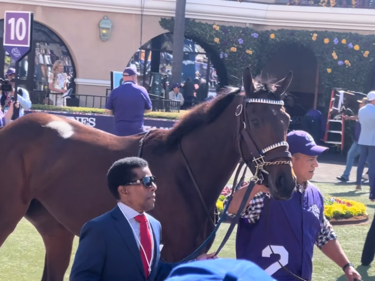 Thorpedo Anna before the Breeders Cup Distaff