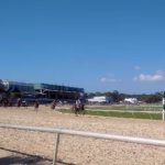 Tampa Bay Downs racetrack and grandstand