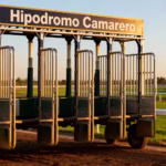 Camarero Race Track – Pick Pony Handicapper Report & Tip Sheet – News, Analysis, Expert Picks, and AI Predictions for November 19, 2025