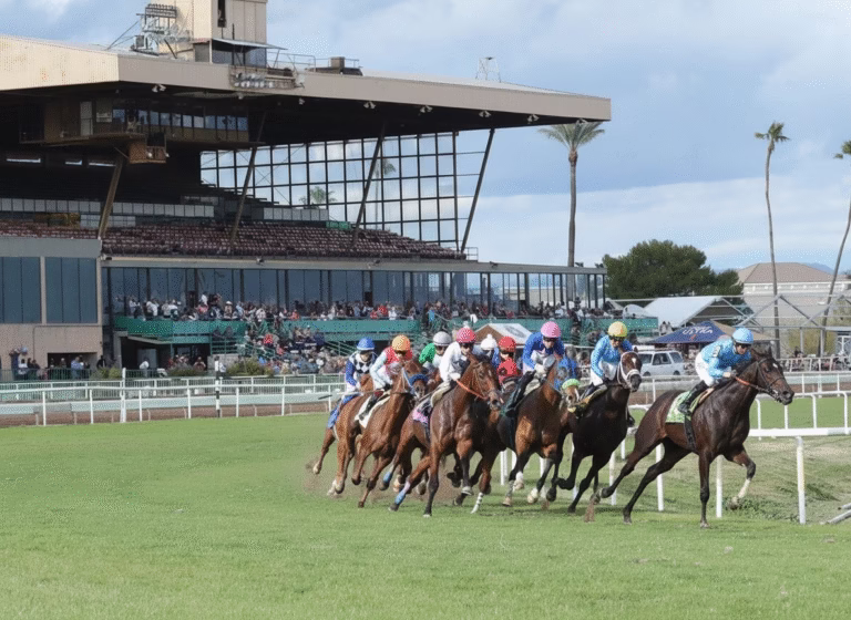 Turf Paradise racetrack