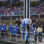 How to Watch the 2026 Preakness Stakes: Full TV Schedule, Streaming Info, and Coverage Guide