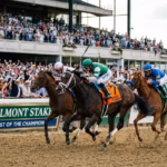 Horses racing in the Belmont Stakes