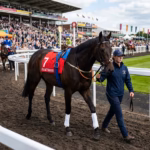 New Hong Kong Sha Tin risk model fuels next-gen equine safety