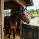 Fortitudine Announces Himself With 21-Length Kempton Romp