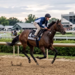 Albus and Incredibolt sidelined as Mott plots fall