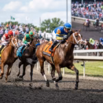 Journalism headlines deep San Diego Handicap lineup